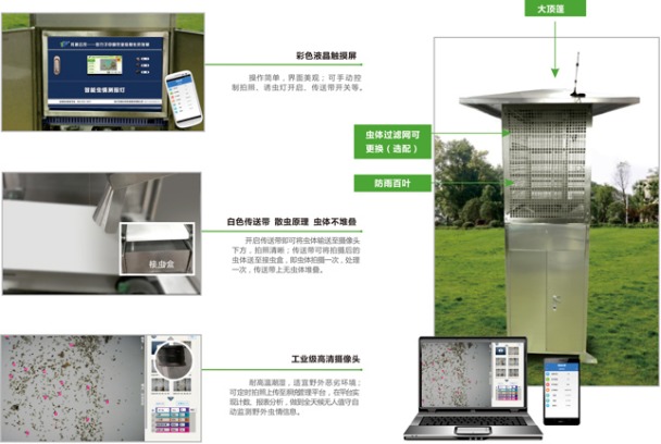 托普云農(nóng)蟲(chóng)情測(cè)報(bào)燈對(duì)害蟲(chóng)的識(shí)別分析