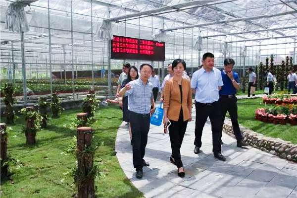 托普云農(nóng)副總經(jīng)理朱旭華給參會領(lǐng)導介紹智慧農(nóng)業(yè)